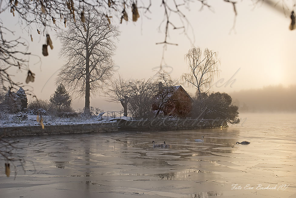 Foto av Eva Bucksch